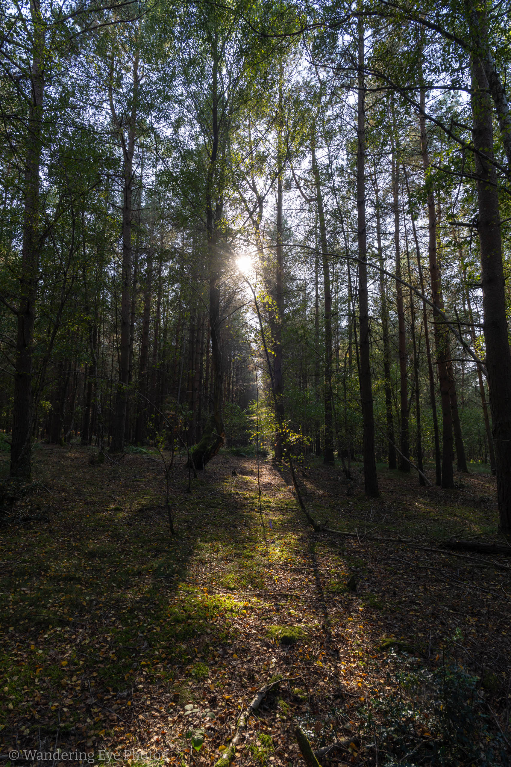 09.20 15.58.39   DSC03716